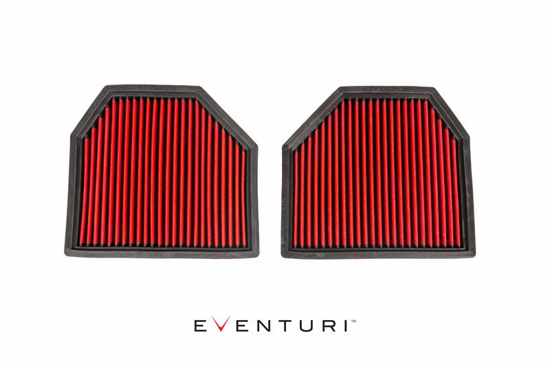 Eventuri Paneelfilter voor BMW F1X M5/M6