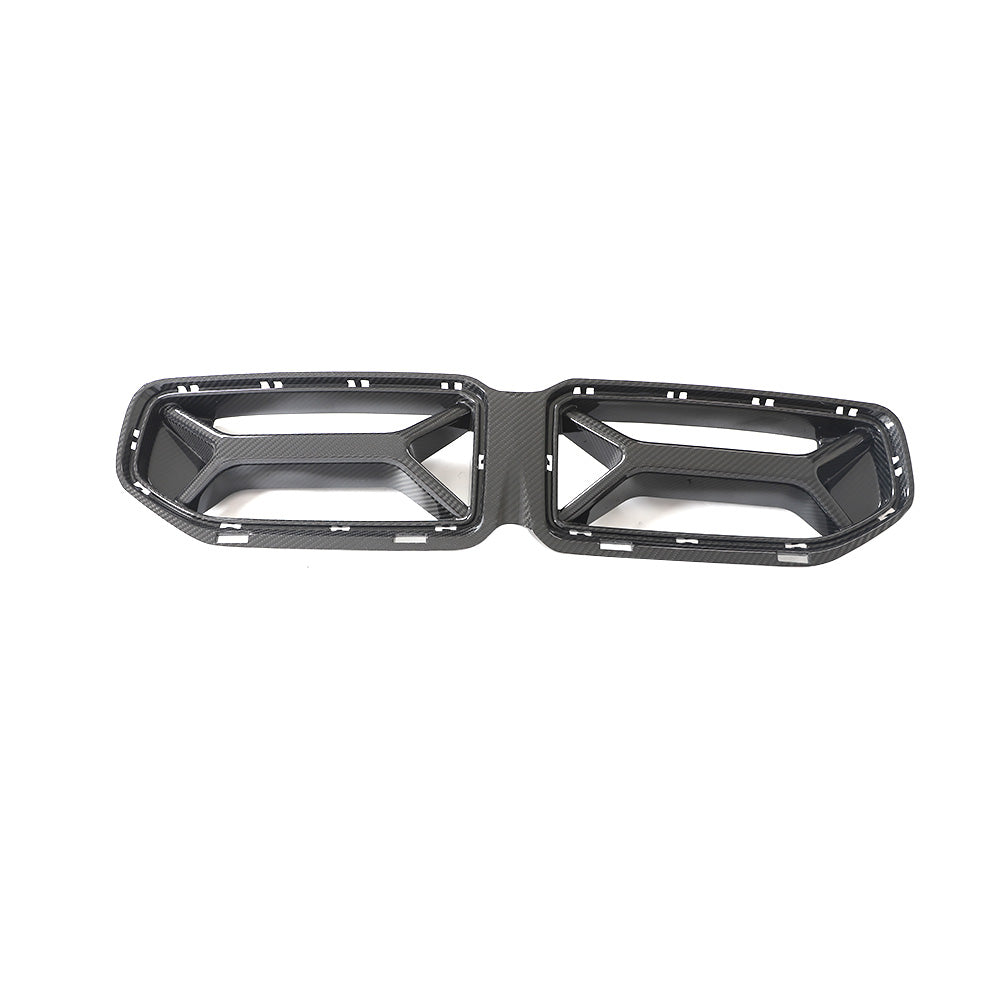 Dry Carbon Grille voor BMW M2 G87