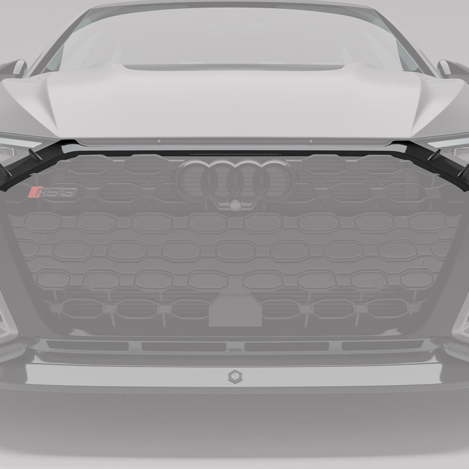 RevoZport Carbon Grille voor Audi RS3 8Y