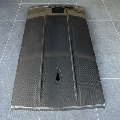 Alpha-N Carbon Dakpaneel voor BMW 1-serie F20/F21