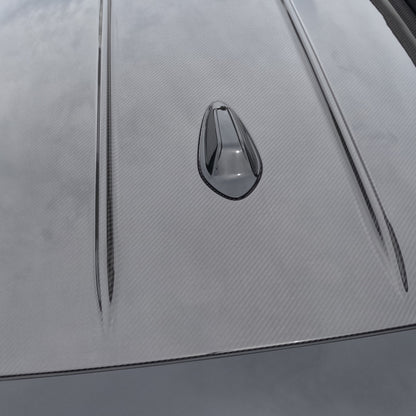 Alpha-N Carbon Dakpaneel voor BMW M3 G81 / 3-serie G21 (blanke lak)