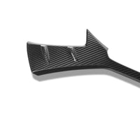 RevoZport Carbon Grille voor Audi RS4 B9.5
