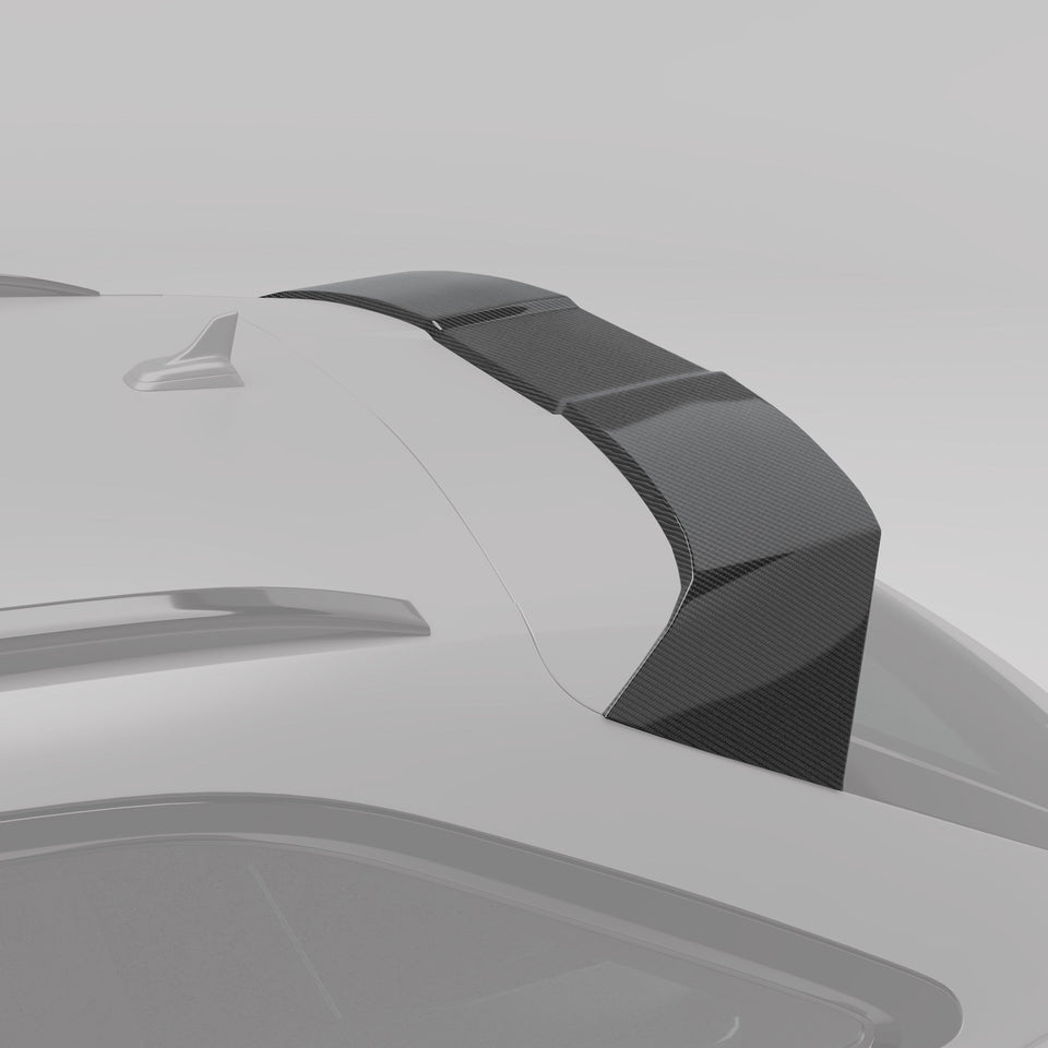 RevoZport Carbon Spoiler voor Audi RS6 C8