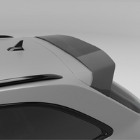 RevoZport Carbon Spoiler voor Audi RS4 B9.5