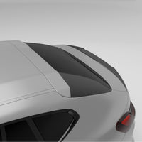 RevoZport Carbon Spoiler voor BMW X4M F98
