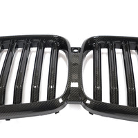 Dry Carbon Grille voor BMW X5 G05 M-Sport