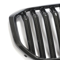 Dry Carbon Grille voor BMW X5 G05 M-Sport