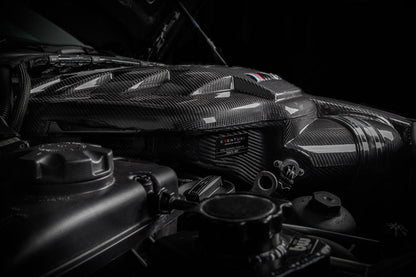 Eventuri Carbon Plenum voor BMW E9X M3 — Matte