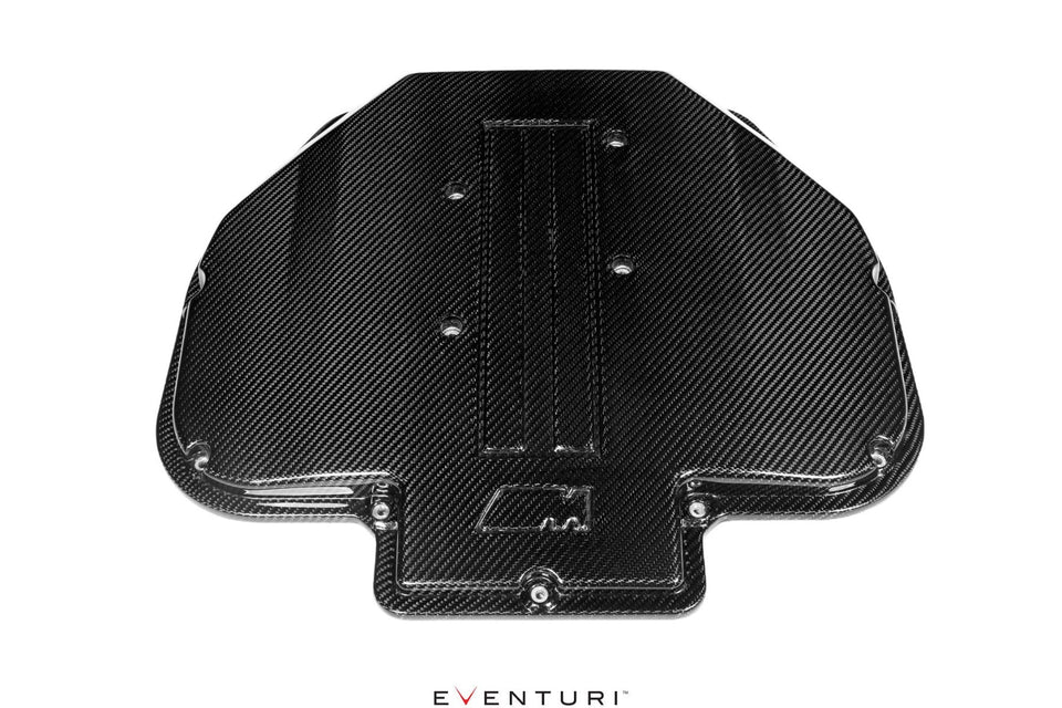 Eventuri Carbon Plenum voor BMW S62