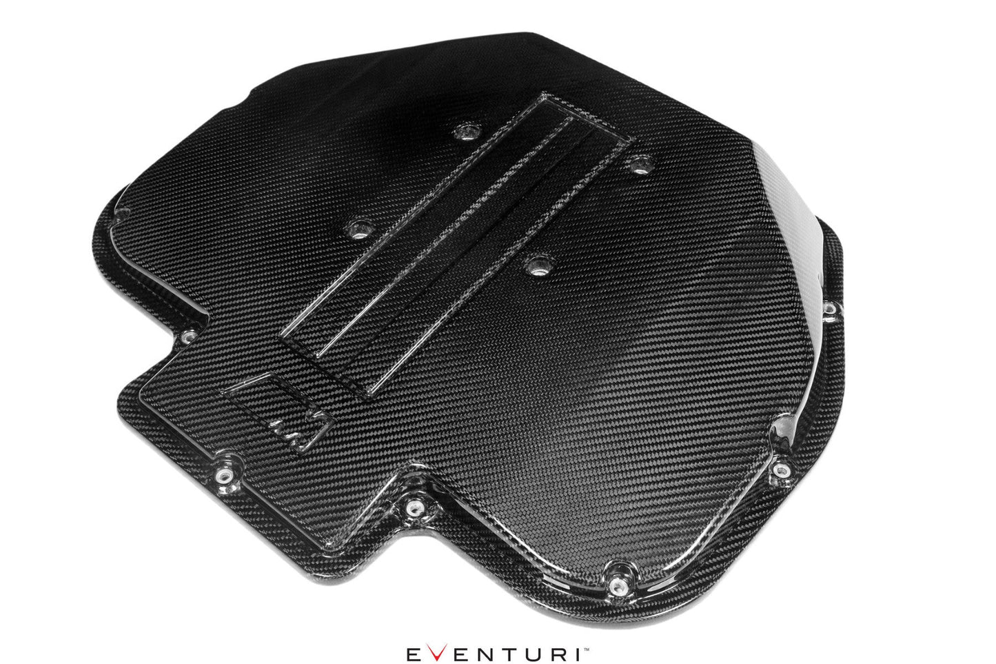 Eventuri Carbon Plenum voor BMW S62