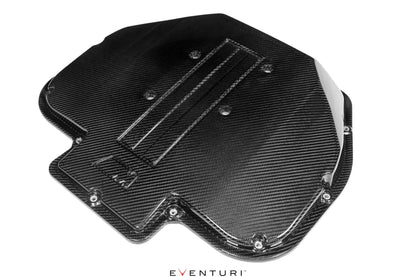 Eventuri Carbon Plenum voor BMW S62