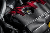 Eventuri Motorafdekplaat voor Audi RS3 / TTRS 8S Black and Red