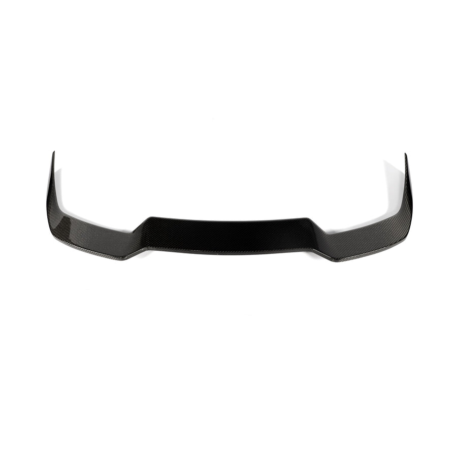 Carbon Spoiler voor Audi Q3 / RSQ3 F3 (dakspoiler)