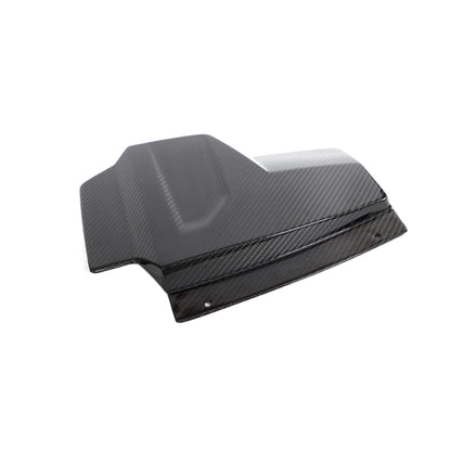 Dry Carbon Interieurstrips voor Audi R8 2023
