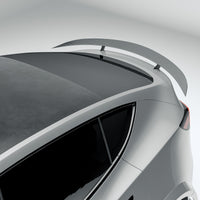 RevoZport Carbon Spoiler voor Tesla Model Y