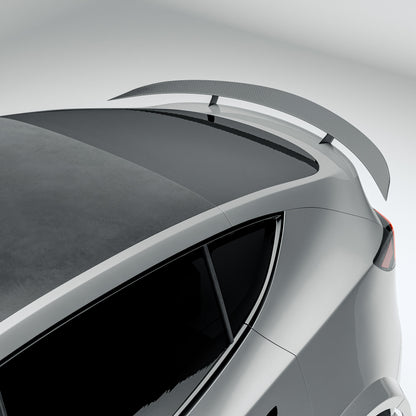 RevoZport Carbon Spoiler voor Tesla Model Y