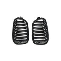 Carbon Grille dubbelspijl carbon voor BMW 1 Serie F20