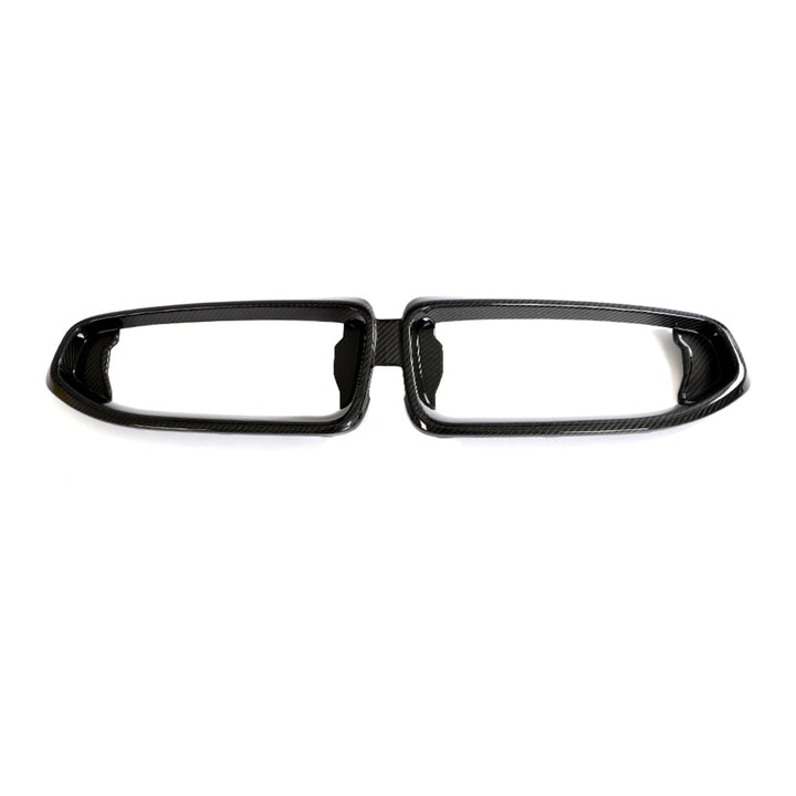 Dry Carbon Grille glans voor BMW 2 Serie / M2 G42 M-Sport