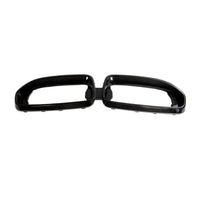 Dry Carbon Grille glans voor BMW 2 Serie / M2 G42 M-Sport