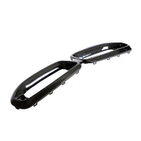 Dry Carbon Grille glans voor BMW 2 Serie / M2 G42 M-Sport