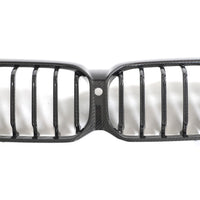 Dry Carbon Grille niergrille 1-delig voor BMW 5 Serie / M5 G30, G38