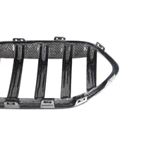 Dry Carbon Grille voor BMW 2 Serie / M2 F44