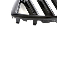 Dry Carbon Grille voor BMW X6 / X6 M G06, F96