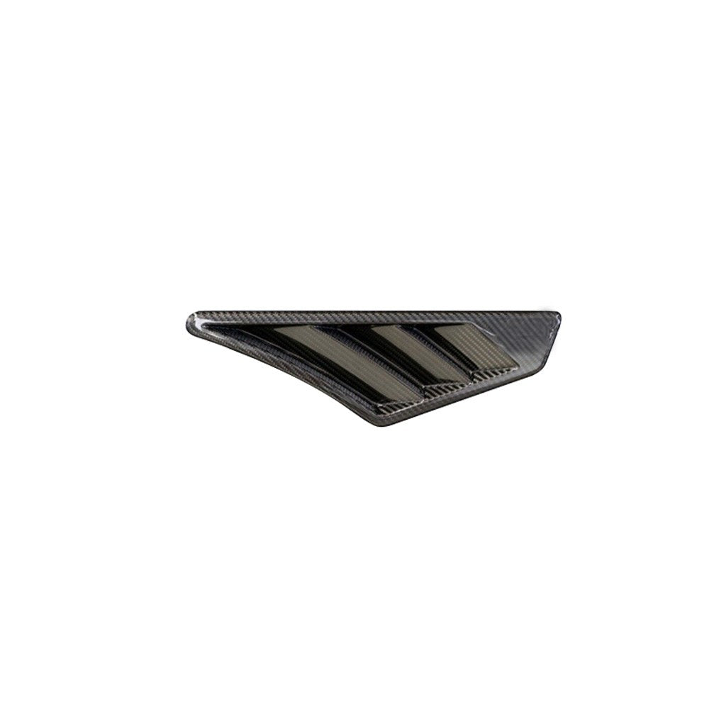 Dry Carbon Vents voor Audi RSQ8 4M